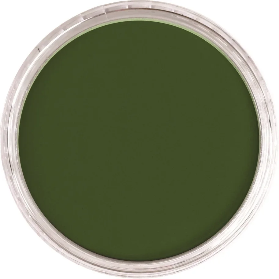 PanPastel 660.5 Chromium Oxide Green