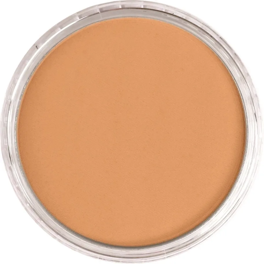 PanPastel 930.5 Bronze