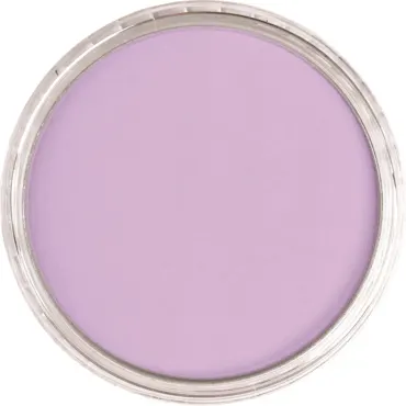 PanPastel 954.5 Pearlescent Violet