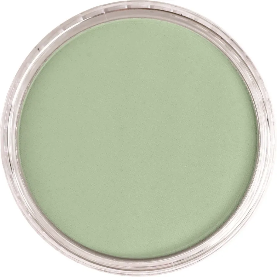 PanPastel 660.8 Chromium Oxide Green Tint