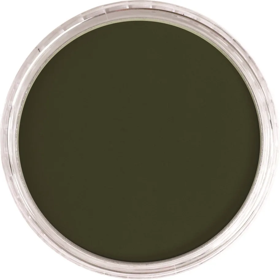 PanPastel 660,3 Chromium Oxide Green Shade