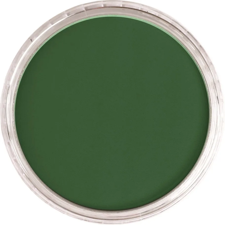 PanPastel 640.1 Permanent Green Extra Dark