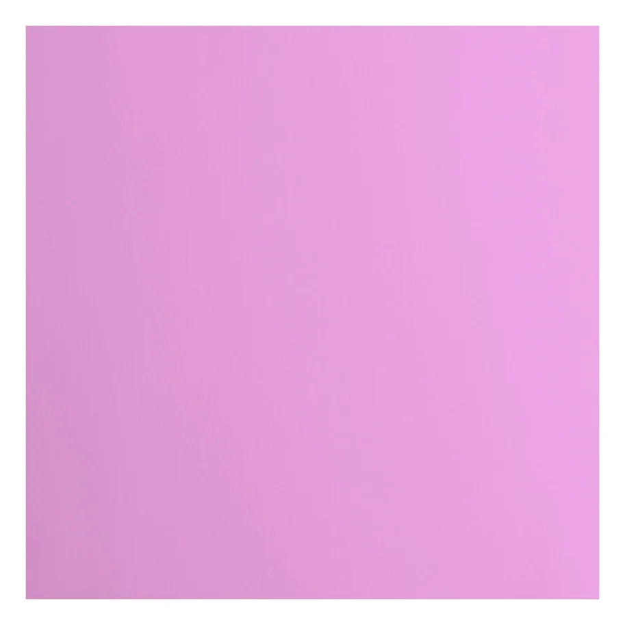 Florence • Tonkarton 216g Glatt 30,5x30,5cm Hydrangea 