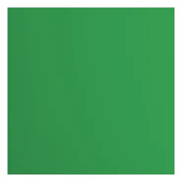 Florence • Tonkarton 216g Glatt 30,5x30,5cm Holly