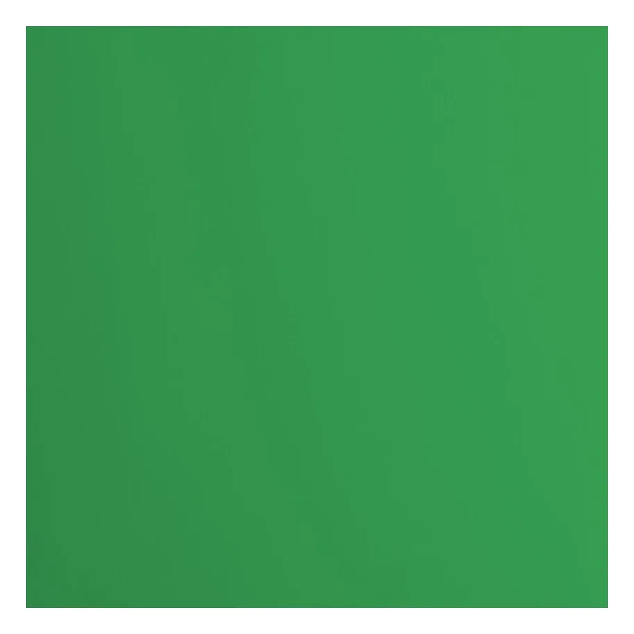 Florence • Tonkarton 216g Glatt 30,5x30,5cm Holly