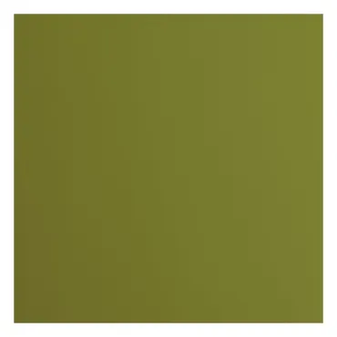 Florence • Tonkarton 216g Glatt 30,5x30,5cm Olive