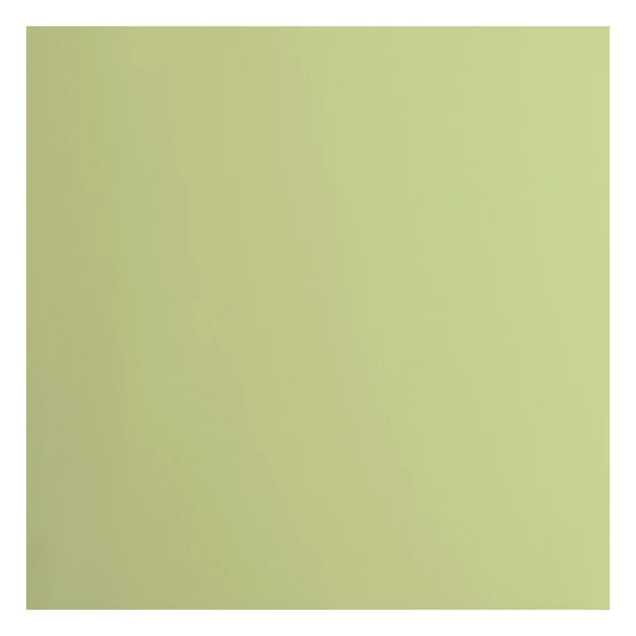 Florence • Tonkarton 216g Glatt 30,5x30,5cm Anise