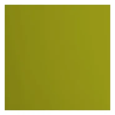 Florence • Tonkarton 216g Glatt 30,5x30,5cm Fern