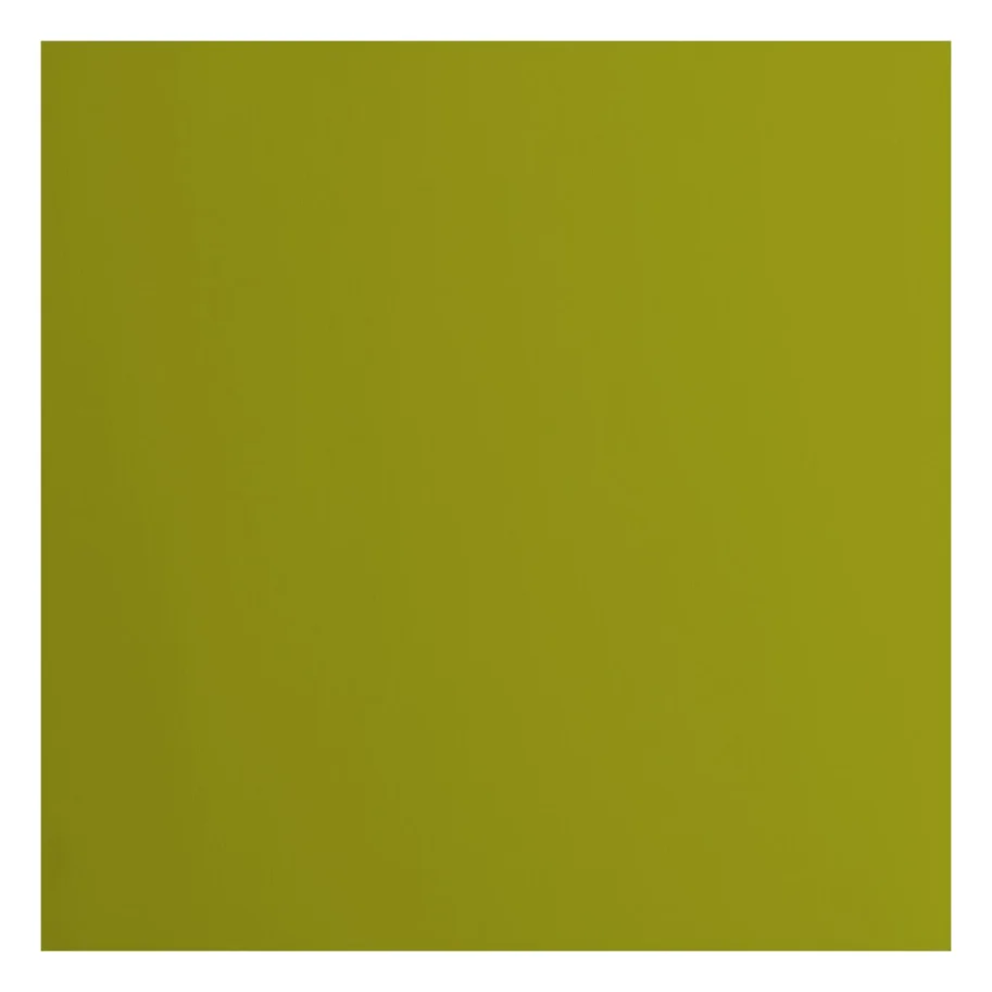 Florence • Tonkarton 216g Glatt 30,5x30,5cm Fern