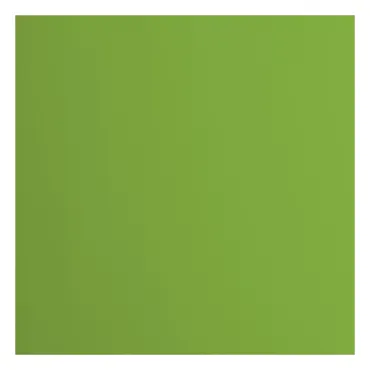 Florence • Tonkarton 216g Glatt 30,5x30,5cm Frog