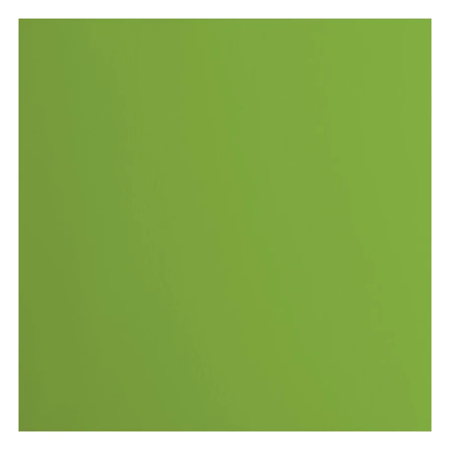 Florence • Tonkarton 216g Glatt 30,5x30,5cm Frog