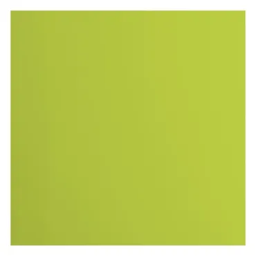 Florence • Tonkarton 216g Glatt 30,5x30,5cm Lime