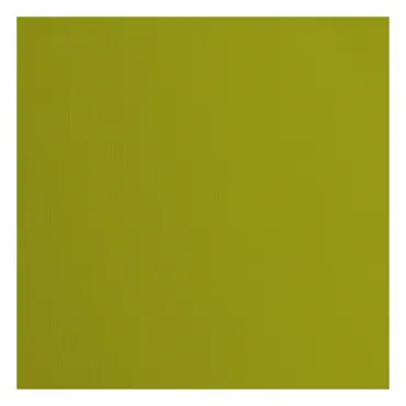 Florence • Tonkarton 216g Textur 30,5x30,5cm Fern