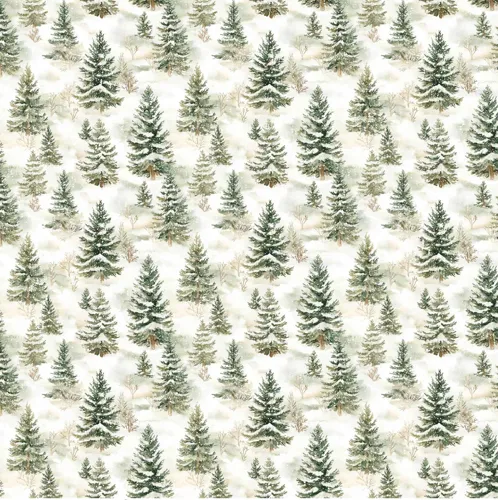 Fir Trees.jpg