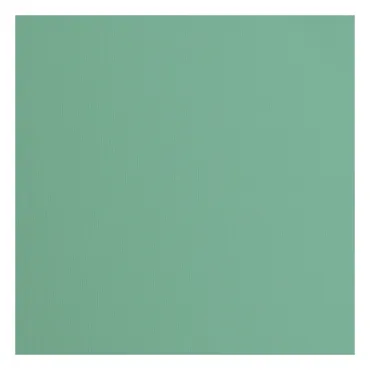 Florence • Tonkarton 216g Textur 30,5x30,5cm Concrete Iguana