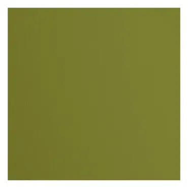Florence • Tonkarton 216g Textur 30,5x30,5cm Olive