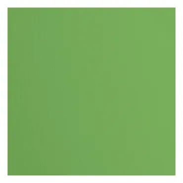 Florence • Tonkarton 216g Textur 30,5x30,5cm Moss