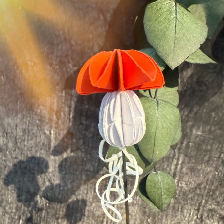 Farbton Glückspilz Nr.481 Mini