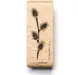 stempel-pflanze-33-weidenkaetzchen-3.webp