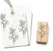 stempel-pflanze-27.webp