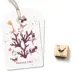 ministempel-garnele-rodi.webp