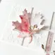 fl0440-die-stanze-ahorn-blatt-klein-erlebniswelt-alexandra-renke-virginiajpg-133662.webp